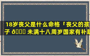 18岁丧父是什么命格「丧父的孩子 🕊 未满十八周岁国家有补助金 🌸 吗」